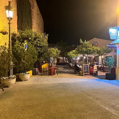 Duplex Penthouse * 卡尔佩